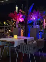 Mar de Nudos - Bild 7