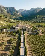 Primus Estate - Bild 6