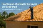 Dachreinigung Mallorca - Bild 3