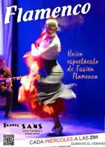 Flamenco-Nacht in Palma am 22. Juli 2026 erleben - Bild 1