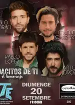 Pedacitos de Ti (el Homenaje) in Campos 2026 - Bild 1