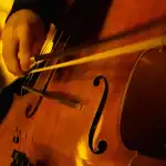 Mallorca Quartett live im Pueblo Español Palma