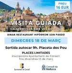 Visita guiada por Valldemossa con voz de mujer