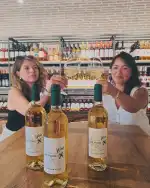 Weintour in der Bodega Château Vino de la Isla