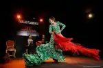 Experience an Authentic Flamenco Night at Tablao Flamenco Alma in Palma