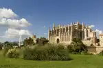 Rentenberatung in Palma: Dein Termin für deine Altersvorsorge - Bild 1