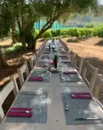Kochshow und Dinner in Manacor: Ein kulinarisches Erlebnis am 16.07.2026