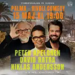 Peter Apelgren, David Batra & Niklas Andersson | Stand-up Comedy in Palma