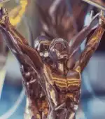 Rafa Nadal Museum Manacor | Sport-Highlights auf Mallorca