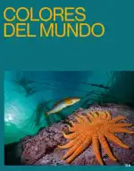 Discover the Fotoausstellung in Palma: A Visual Journey