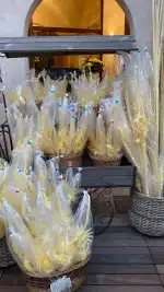 Flors Can Pellisseta - Bild 6