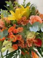 Flors Can Pellisseta - Bild 8