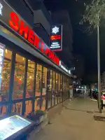 Sher E Punjab - Image 1