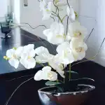 SpaConcept Mallorca - Bild 9