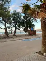 El Sol Sunshine Bar & Beach Apartments - Imagen 8