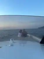 Mallorca Charter Experience - Image 4