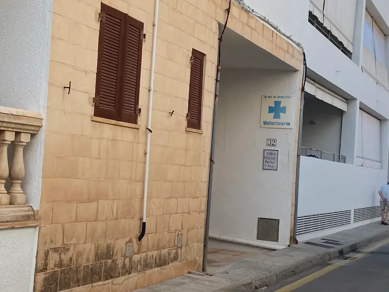 Dr. Gordon Schier - Bild 1