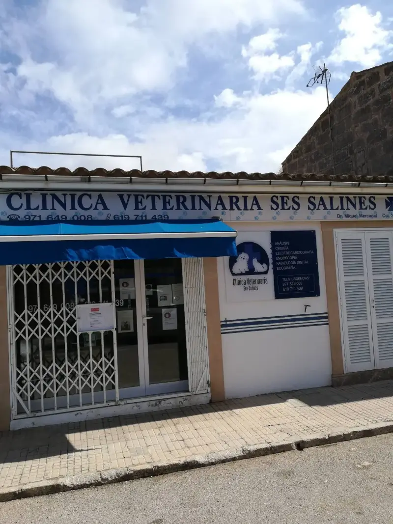 Clínica Veterinaria Ses Salines - Bild 1