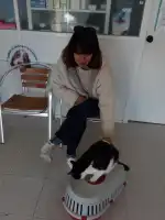 Clínica Veterinaria Ses Salines - Bild 7