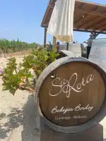 Bodegas Bordoy - Imagen 10