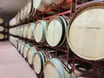 Bodegas Bordoy - Imagen 10