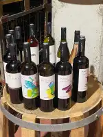 Bodegas Bordoy - Imagen 6