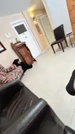 Clinica Port d'Andratx-Allmedica - Image 9