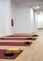 Fisio Balance - Bild 7