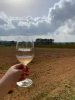 Bodega SON PRIM - Bild 7