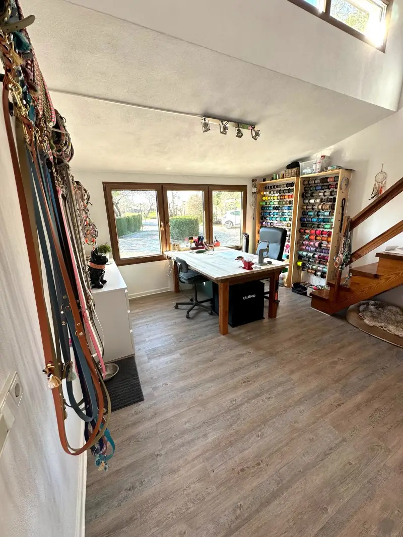 ISLAND DOGs - Bild 1