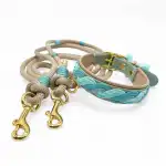 ISLAND DOGs - Bild 2