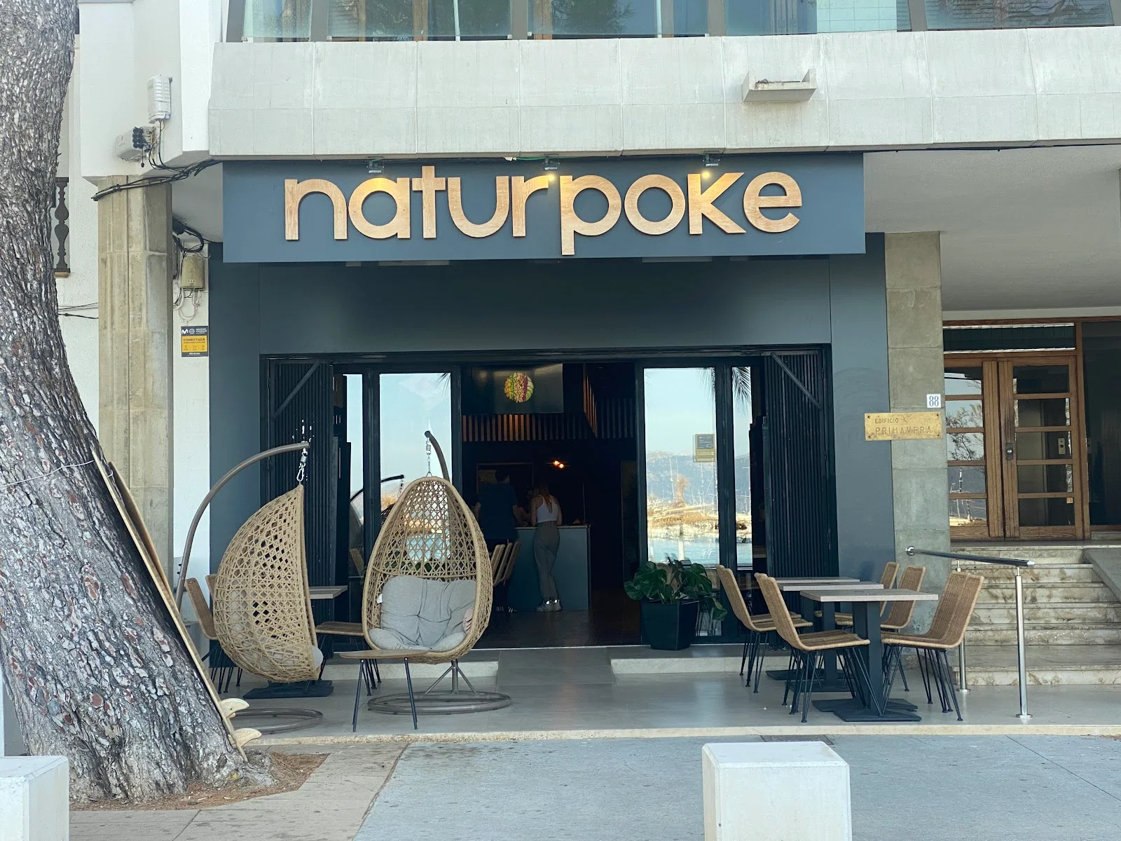 NATUR Puerto Pollensa