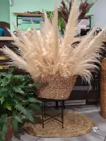 Floristeria Mari'an - Bild 8