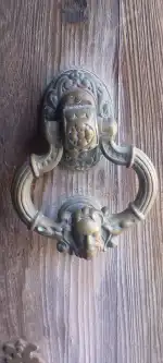 David Cerrajero - Bild 4