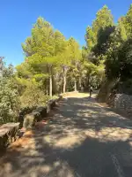 Mallorca Scooter - Bild 8