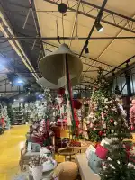 Fronda Cardenal Rossell - Bild 8