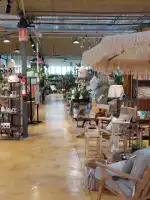 Fronda Cardenal Rossell - Bild 9