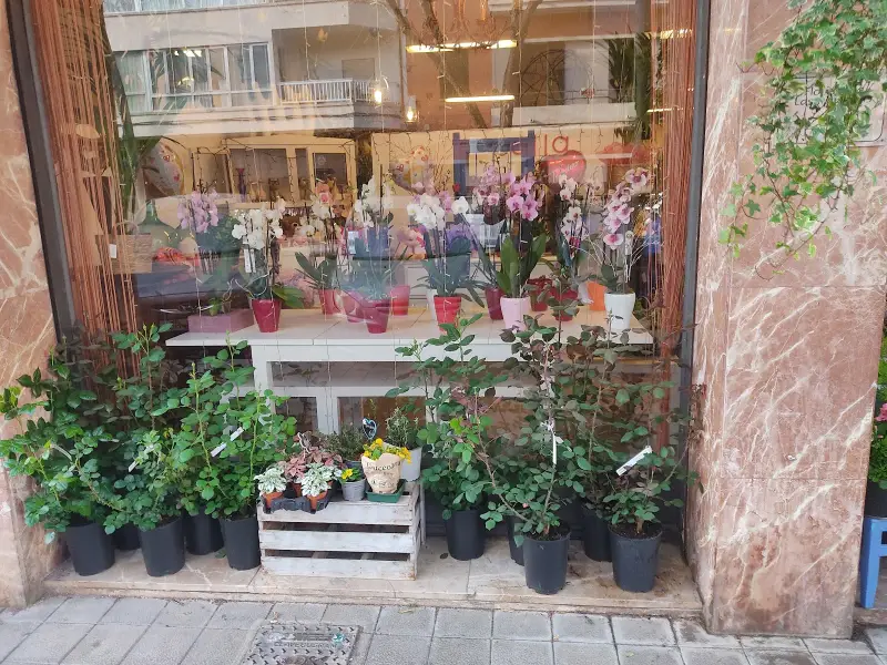 Floristería Las Palmeras - Bild 1