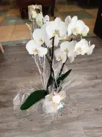 Floristería Las Palmeras - Bild 7