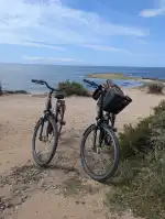 We Love Rent Mallorca - Bild 8