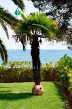 Jardins Llevant - Bild 2