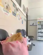 MEDICINA BIOLOGICA RAMON RIPOLL ENSENYAT - Bild 2