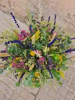 Floristería de Petra - Bild 10