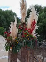 Floristería de Petra - Bild 7