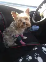 AniCura Aragó Hospital Veterinari - Bild 5