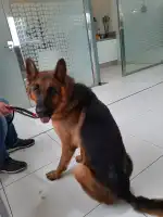 AniCura Aragó Hospital Veterinari - Bild 7