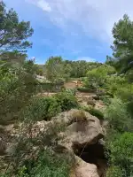 Cala de Deià - Bild 9