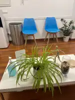 Fisioplanet - Image 9