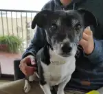 Clínica Veterinaria Cas Catalá - Bild 8