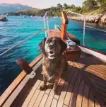 Blauxell Mallorca - Bild 10